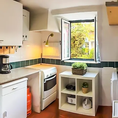 Beautiful Cozy Flat In Flowers Garden! Lisbon